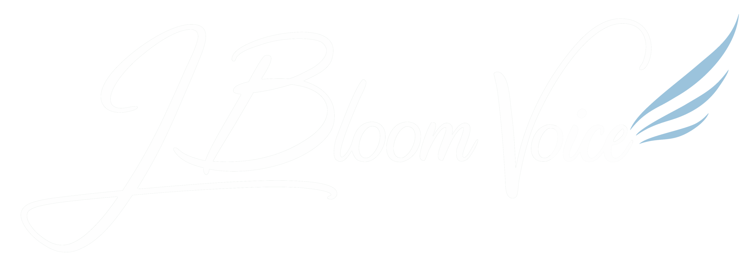 JBloom Voice
